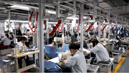 跨界赋能硕果累累，央视再次点赞卡奥斯网络技术服务